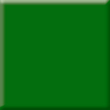 Ausführung / Farbe: grün