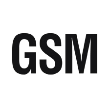 GSM (Global System for Mobile Communication)