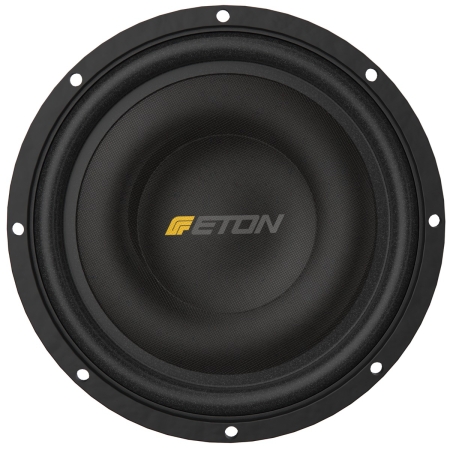 ETON Power PW10FLAT 25 cm Flachsubwoofer Chassis