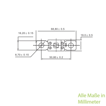 ANM Hochlast-Streifen-Sicherung 125A