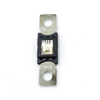 ANM Hochlast-Streifen-Sicherung 100A