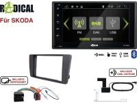 Radical R-D210 2-Din DAB+&nbsp;für&nbsp;SK...